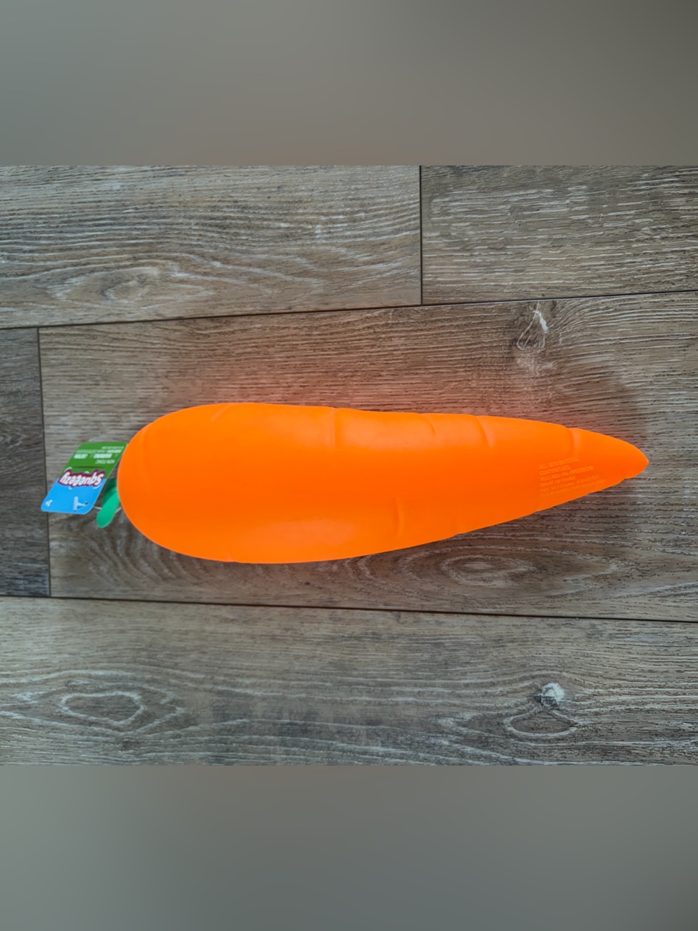 Sunny Days Squeeezy CARROT NWT!